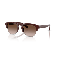 Giorgio Armani AR 8238 622113 Güneş Gözlüğü