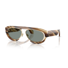 Giorgio Armani AR 8239 6065/1 Güneş Gözlüğü