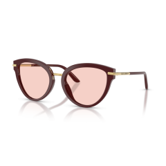 Dolce & Gabbana DG 4492 3091P5 Güneş Gözlüğü