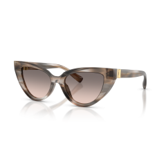 Dolce & Gabbana DG 4497 34493B Güneş Gözlüğü