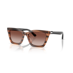 Emporio Armani EA 4250U 626613 Güneş Gözlüğü