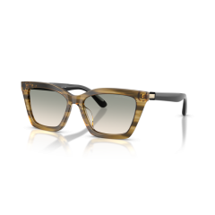Emporio Armani EA 4250U 62672C Güneş Gözlüğü