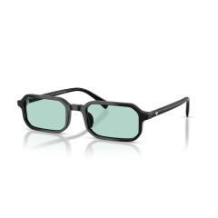 Emporio Armani EA 4253U 501765 Güneş Gözlüğü