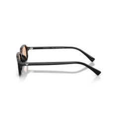 Emporio Armani EA 4253U 501793 Güneş Gözlüğü