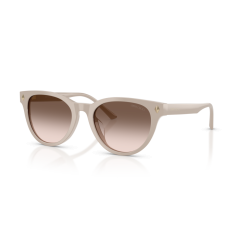 Jimmy Choo JC 5043D 50333B Güneş Gözlüğü