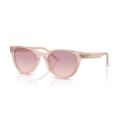 Jimmy Choo JC 5043D 505268 Güneş Gözlüğü
