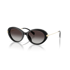 Michael Kors MK 2245U 30058G Güneş Gözlüğü