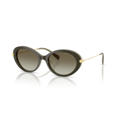 Michael Kors MK 2245U 40193M Güneş Gözlüğü