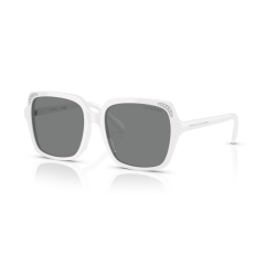 Swarovski SK 6034D 105087 Güneş Gözlüğü