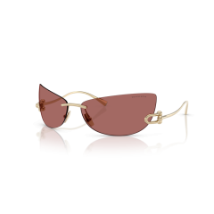 Tiffany TF 3112K 622569 Güneş Gözlüğü