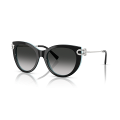Tiffany TF 4232 80553C Güneş Gözlüğü