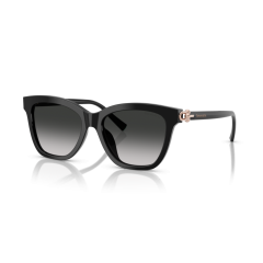 Tiffany TF 4241D 80013C Güneş Gözlüğü