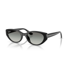 Ray-Ban RB 4457D 667711 Güneş Gözlüğü