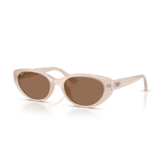 Ray-Ban RB 4457D 678673 Güneş Gözlüğü