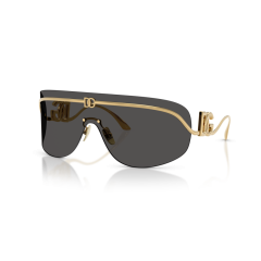 Dolce & Gabbana DG 2320 02/87 Güneş Gözlüğü