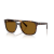 Ray-Ban RB 2213 902/33 Güneş Gözlüğü, Cinsiyet: Unisex, Ekartman: 55