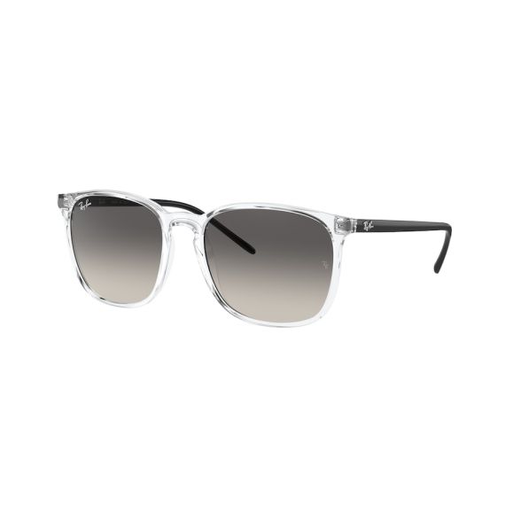 Ray-Ban RB 4387 647711 Güneş Gözlüğü