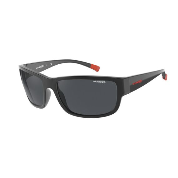 Arnette AN 4256 275887 Güneş Gözlüğü