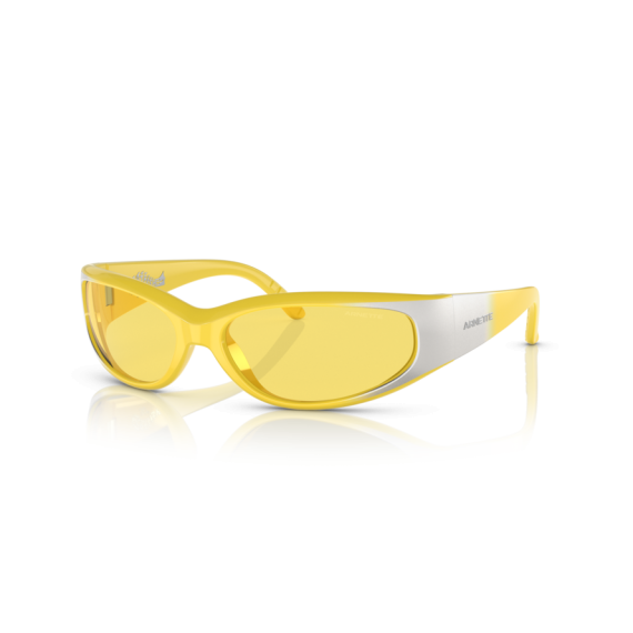 Arnette AN 4302 281685 Güneş Gözlüğü