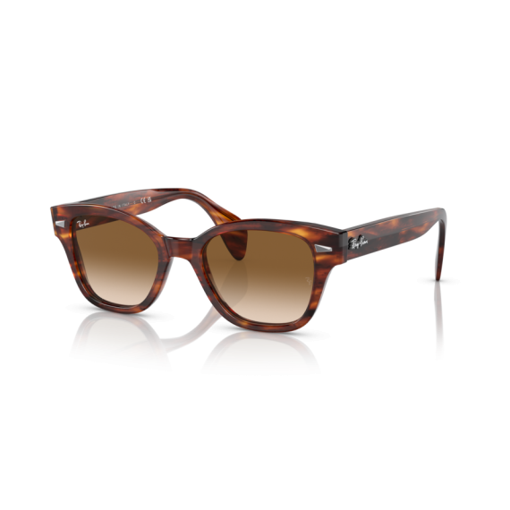 Ray-Ban RB 0880S 954/51 Güneş Gözlüğü