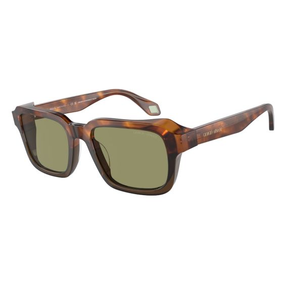 Giorgio Armani AR 8194U 598814 Güneş Gözlüğü, Resim 6