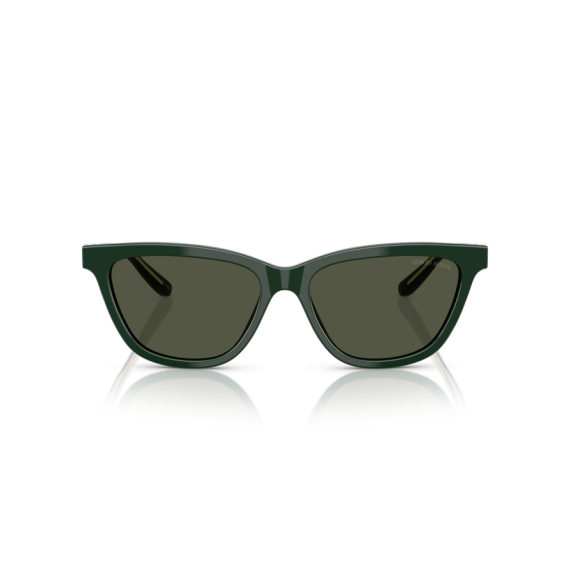 Giorgio Armani AR 8221 617331 Güneş Gözlüğü, Resim 4