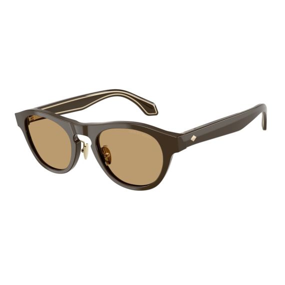 Giorgio Armani AR 8225 619473 Güneş Gözlüğü, Resim 6
