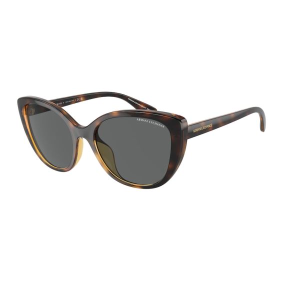 Armani Exchange AX 4111SU 821387 Güneş Gözlüğü, Resim 6