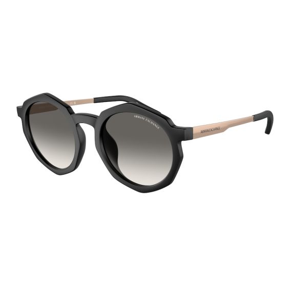 Armani Exchange AX 4132SU 815811 Güneş Gözlüğü, Resim 6