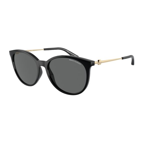Armani Exchange AX 4140S 815887 Güneş Gözlüğü, Resim 6