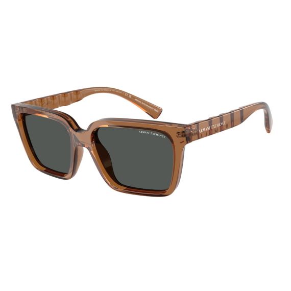 Armani Exchange AX 4147S 835887 Güneş Gözlüğü, Resim 6