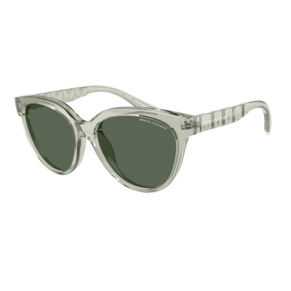 Armani Exchange AX 4148SU 836071 Güneş Gözlüğü, Resim 6