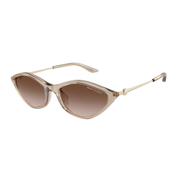 Armani Exchange AX 4152SU 836613 Güneş Gözlüğü, Resim 6
