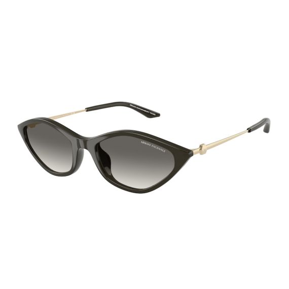 Armani Exchange AX 4152SU 836711 Güneş Gözlüğü, Resim 6