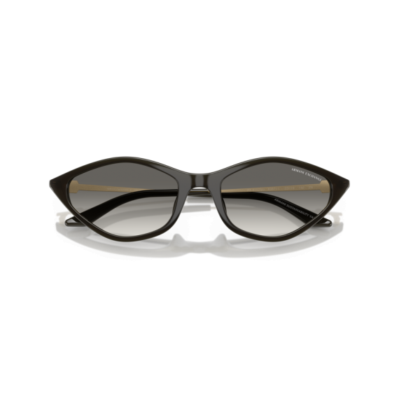 Armani Exchange AX 4152SU 836711 Güneş Gözlüğü, Resim 5