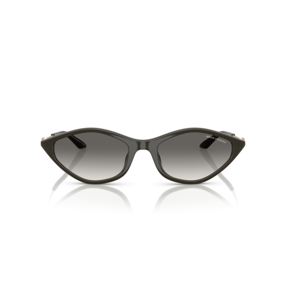 Armani Exchange AX 4152SU 836711 Güneş Gözlüğü, Resim 4