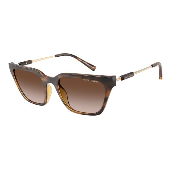 Armani Exchange AX 4158S 821313 Güneş Gözlüğü, Resim 6
