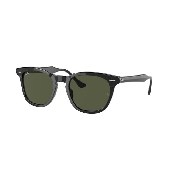 Ray-Ban RB 2298 901/31 Güneş Gözlüğü