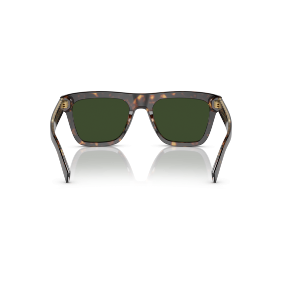 Dolce & Gabbana DG 4420 502/71 Güneş Gözlüğü, Resim 3