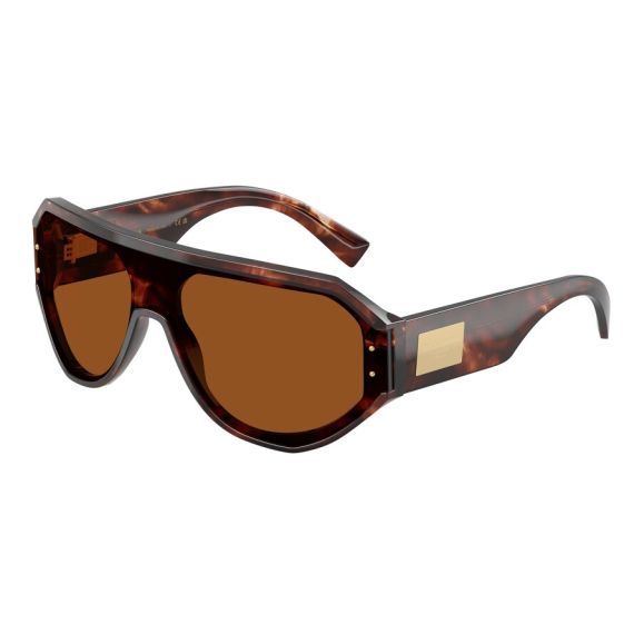 Dolce & Gabbana DG 4481 322273 Güneş Gözlüğü, Resim 6