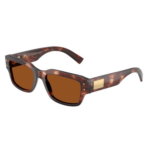 Dolce & Gabbana DG 4483 322273 Güneş Gözlüğü, Resim 6