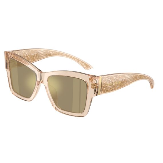 Dolce & Gabbana DG 4493 343203 Güneş Gözlüğü, Resim 6
