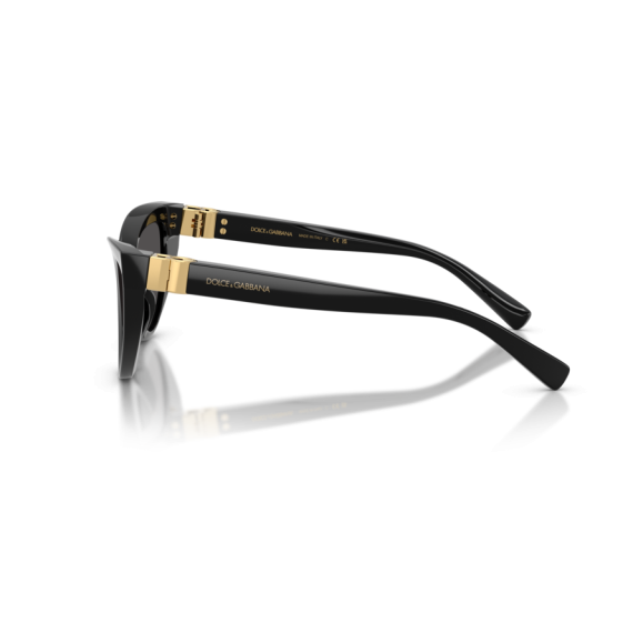 Dolce & Gabbana DG 4497 501/87 Güneş Gözlüğü, Resim 2