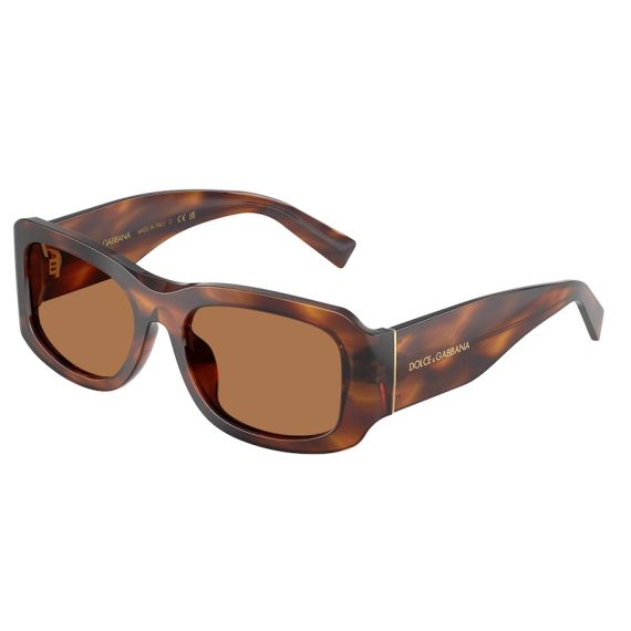 Dolce & Gabbana DG 4503 306373 Güneş Gözlüğü, Resim 6