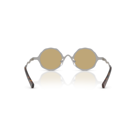 Emporio Armani EA 2166 3015/2 Güneş Gözlüğü, Resim 3