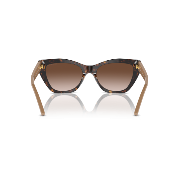Emporio Armani EA 4176 587913 Güneş Gözlüğü, Resim 3