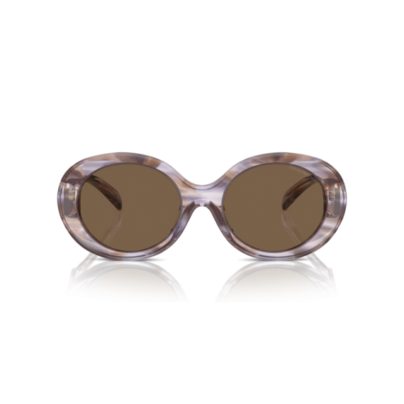 Emporio Armani EA 4231U 615673 Güneş Gözlüğü, Resim 4