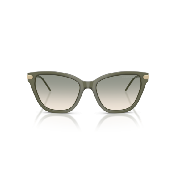 Emporio Armani EA 4251 62642C Güneş Gözlüğü, Resim 4