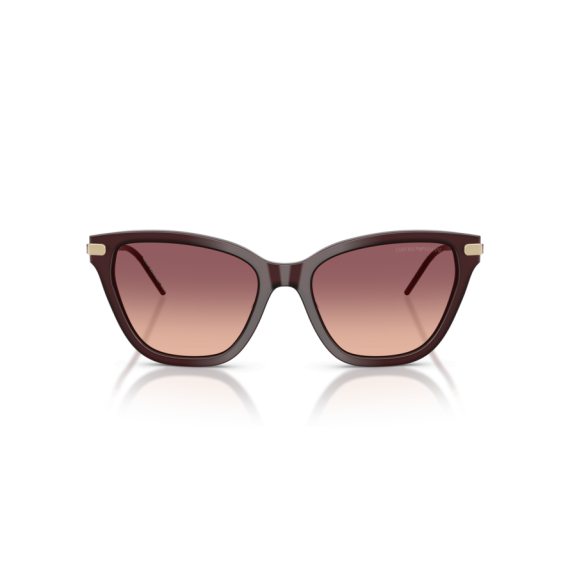 Emporio Armani EA 4251 62658D Güneş Gözlüğü, Resim 4