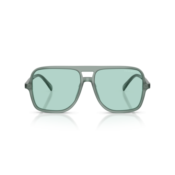 Emporio Armani EA 4252U 627065 Güneş Gözlüğü, Resim 4